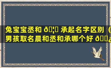 兔宝宝丞和 🦈 承起名字区别（男孩取名晨和丞和承哪个好 🌿 ）